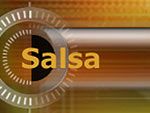 Custom branding, logo design, profile, office stationary, brochure, product sheets, web site, and presentations for Salsa Media